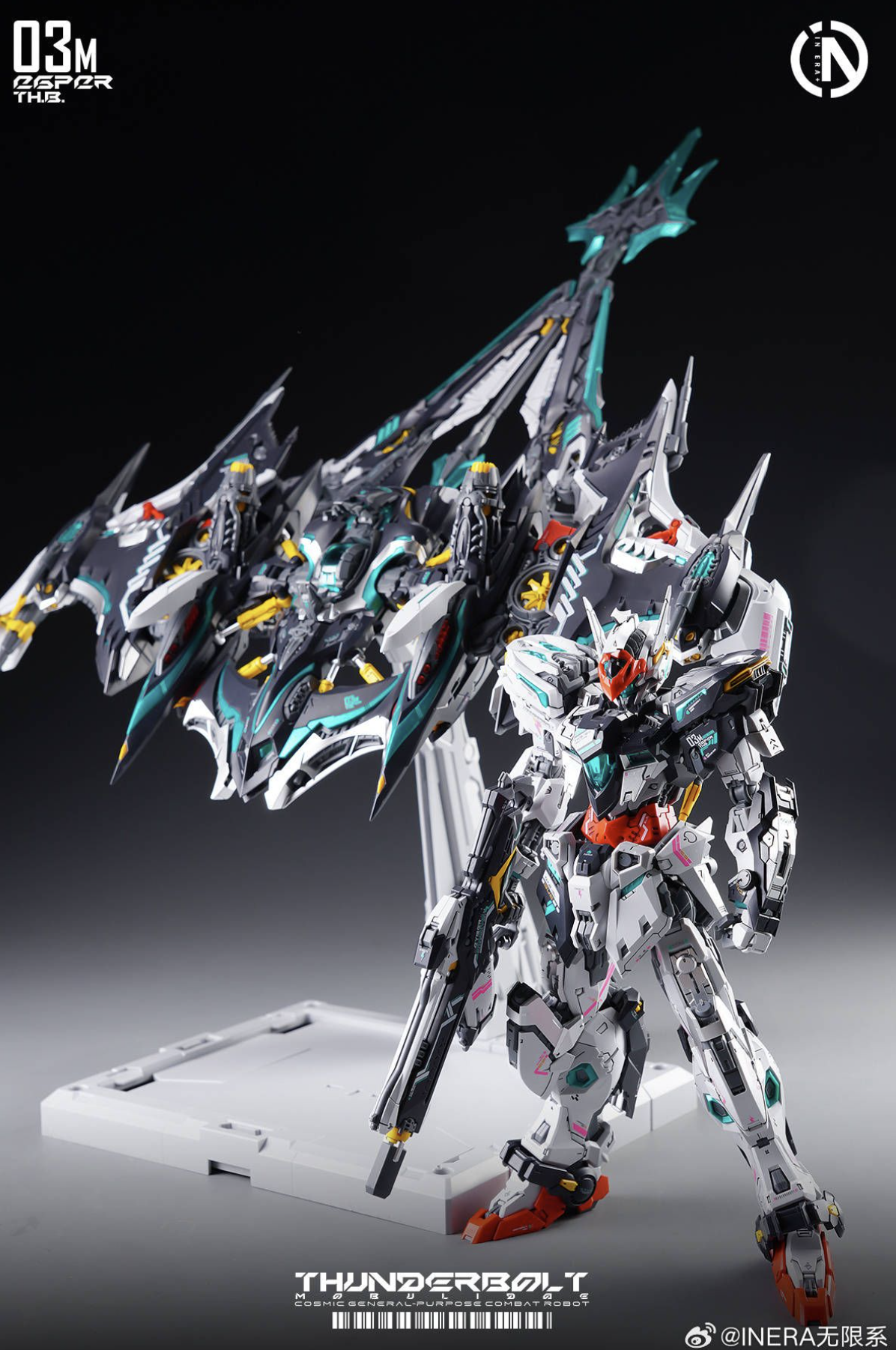 IN ERA+ RMD Thunderbolt Manta Ray Model Kit 1/100 Scale model kit – One ...